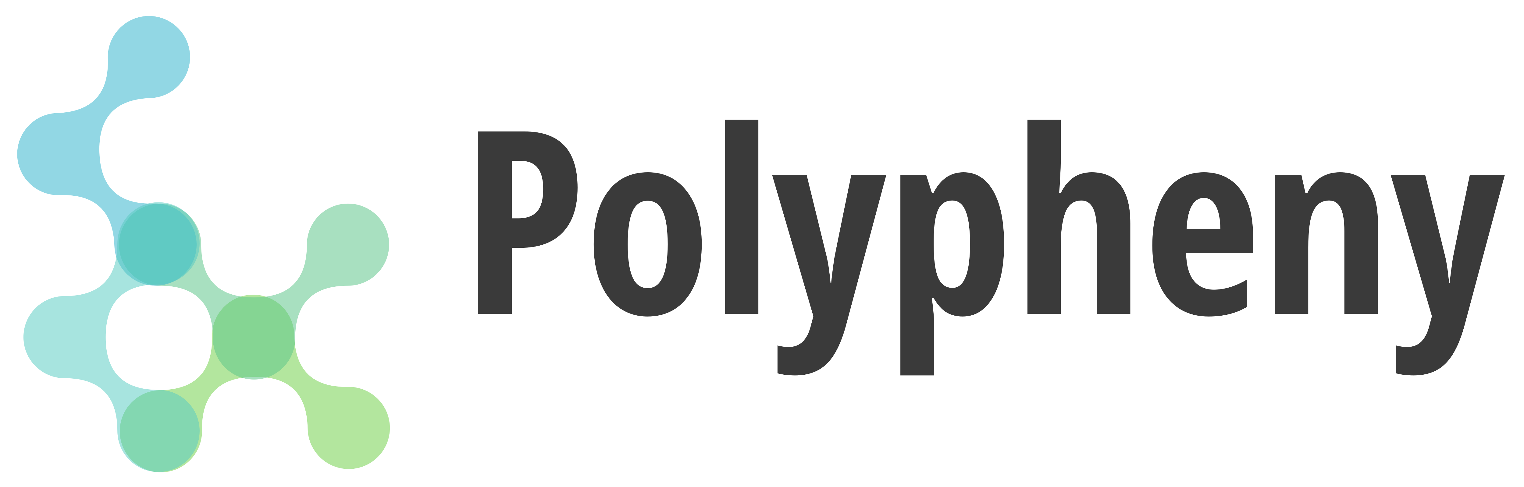 Polypheny Landscape Logo